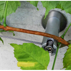 Attache pour plantes grimpantes de vigne, câble de jardinage, fil
